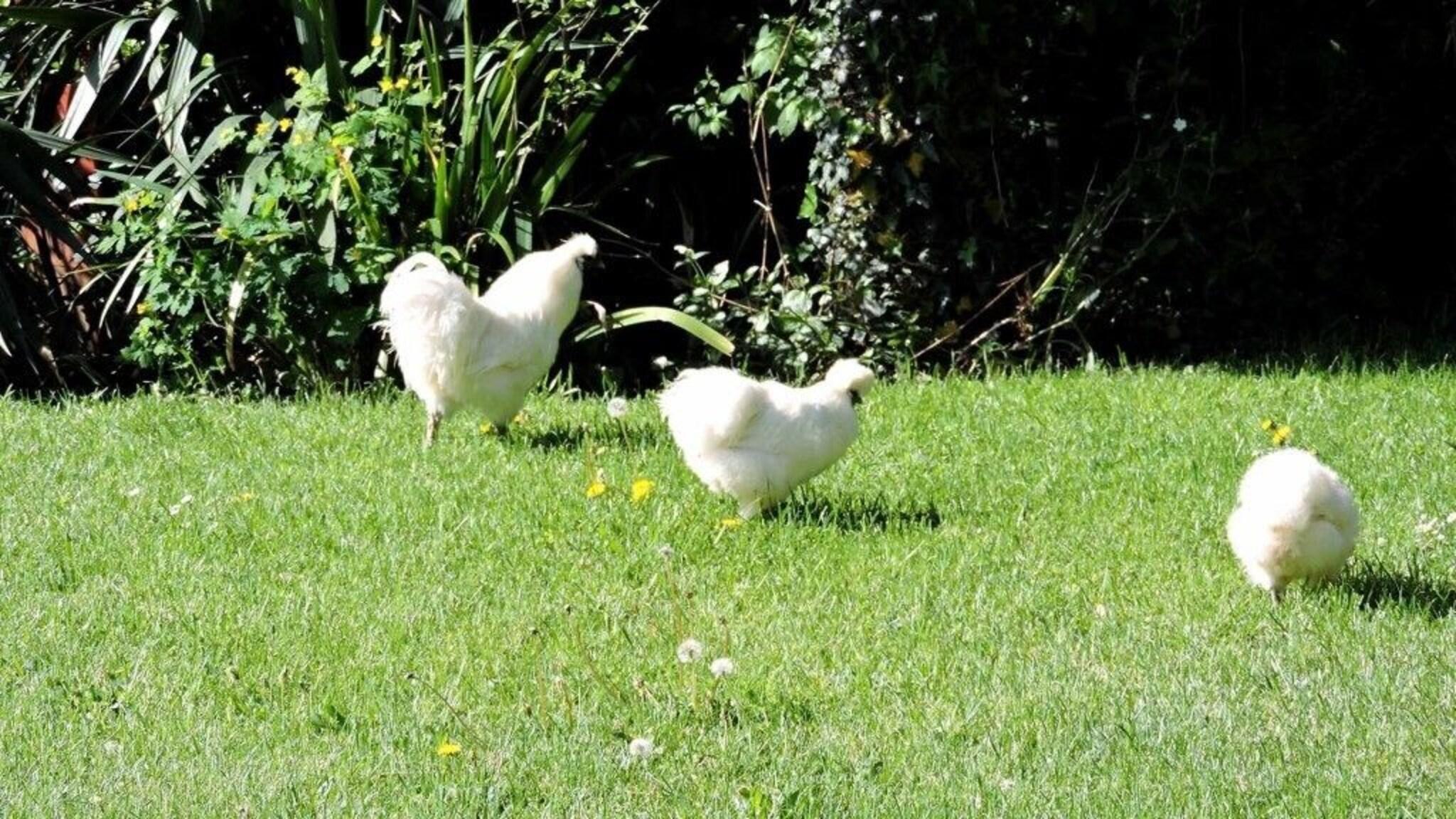 Vista Exterior La Gourmandine