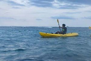 Actividad - Tour en kayak por Puerto Plata