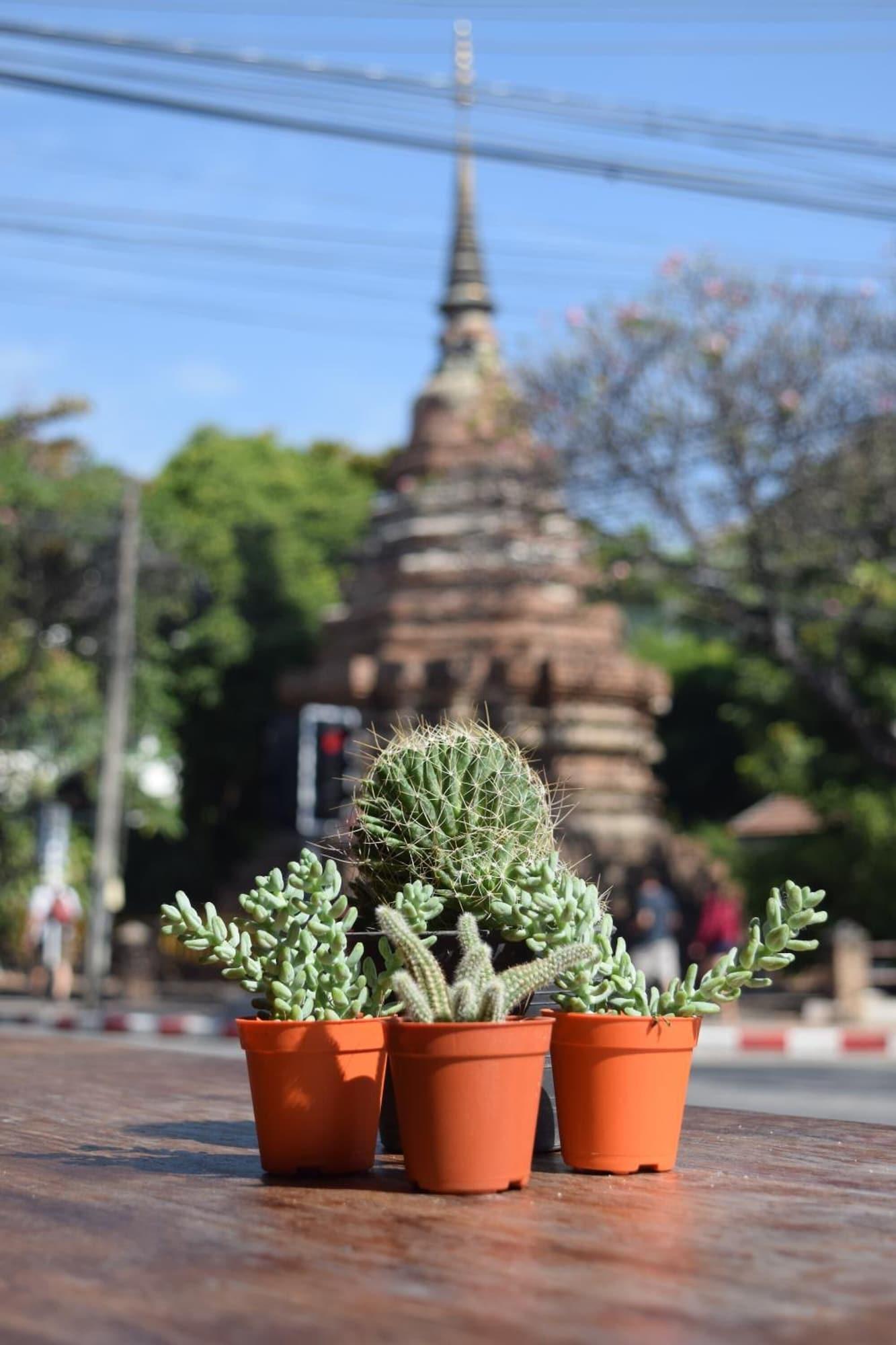Varios See You Soon Chiangmai