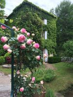 Alojamiento - Hôtel Le Moulin de la Beune
