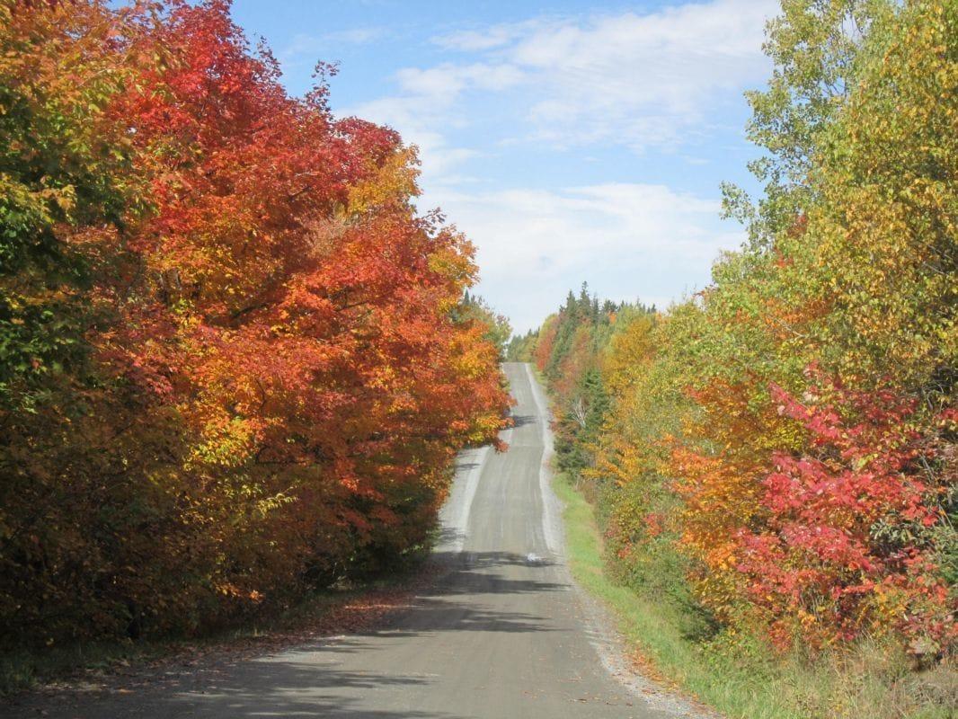 Vista Exterior Le Gîte Ambrelane
