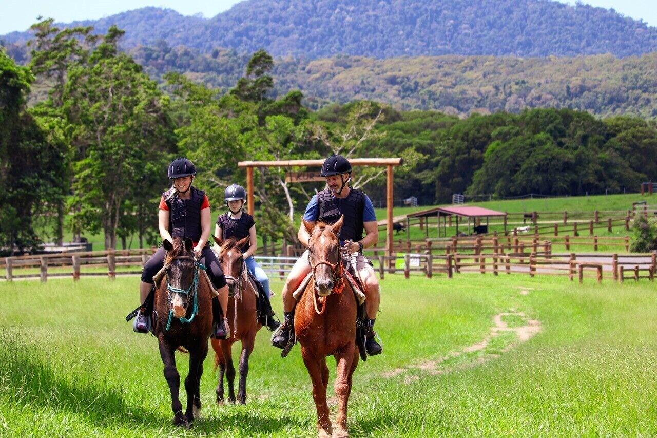 Instalaciones Recreativas Kur Cow farm