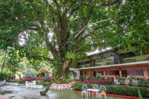 Alojamiento - Valle de Antòn Suites