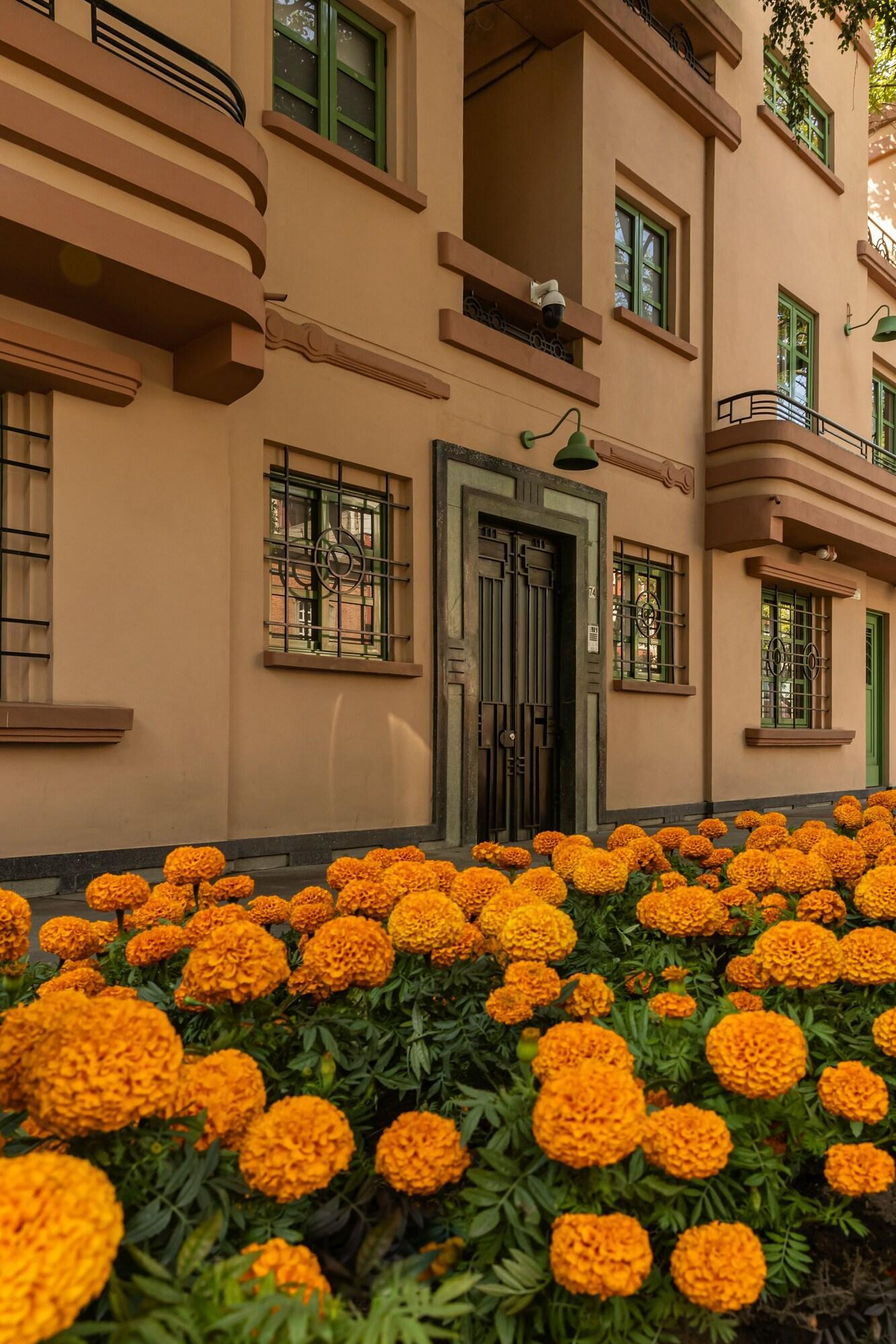 Varios Casa Oliva