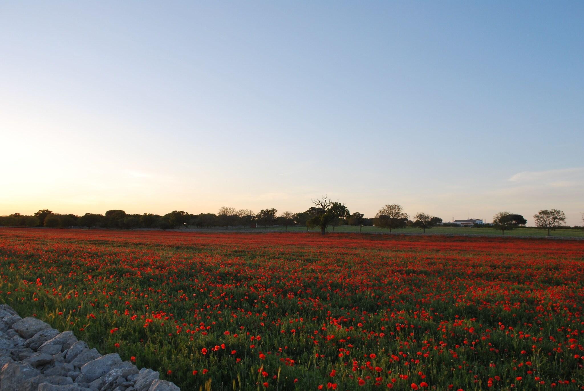 Vista Exterior Hotel Donatello