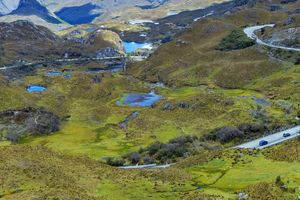 Actividad - Excursión al Parque Nacional Cajas y al Cacao de la Loma finalizando en Guayaquil