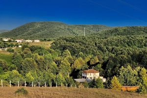 Alojamiento - Pasha Boutique Apart Hotel