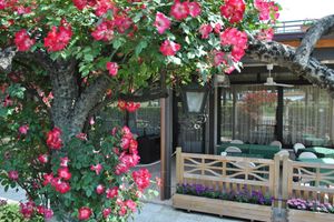 Alojamiento - Hotel Bel Sito