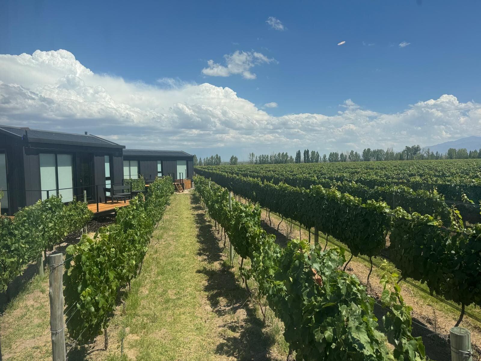 Vista Exterior Finca Boutique Un Buen Año