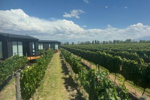 Alojamiento - Finca Boutique Un Buen Año