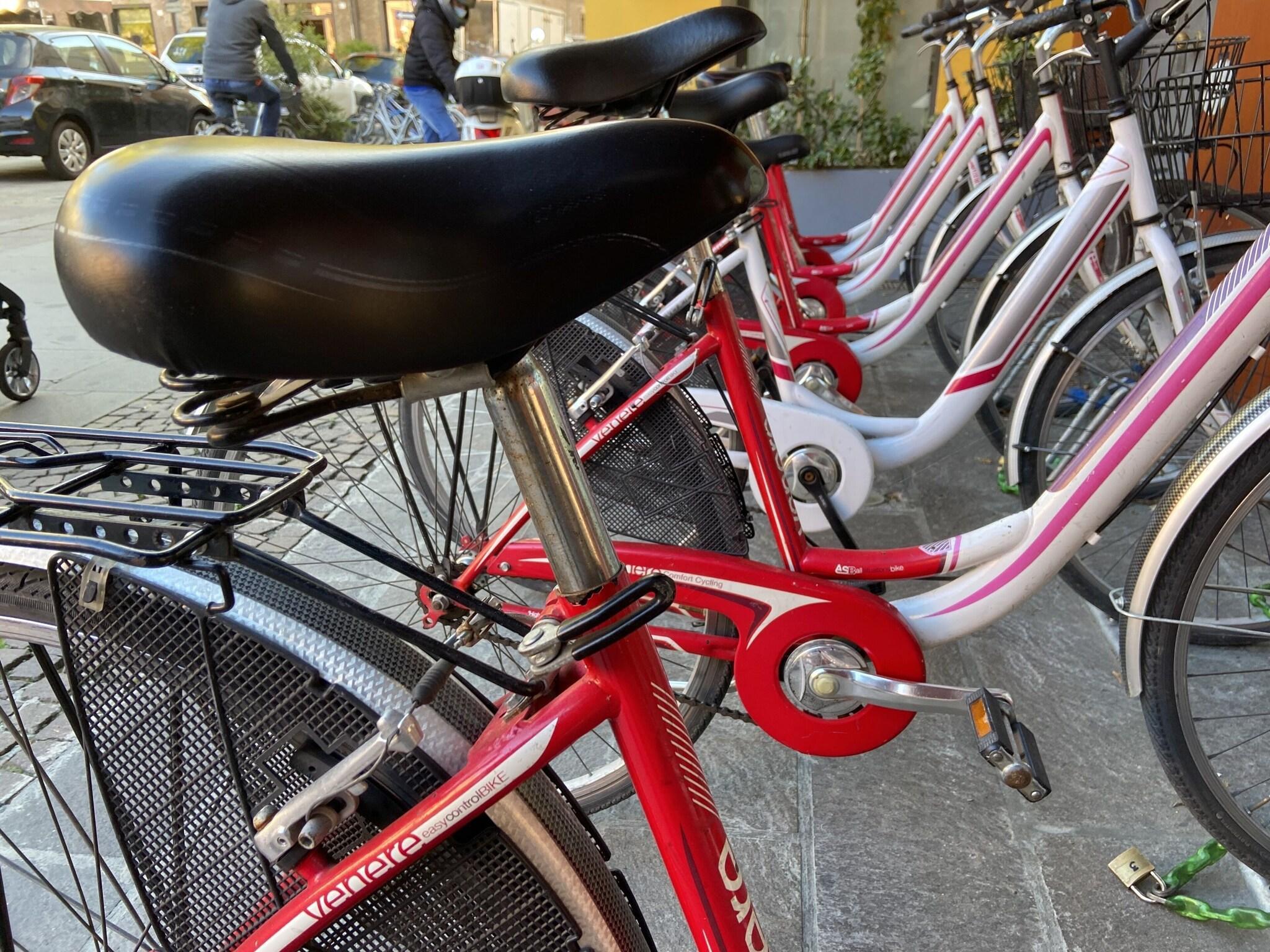 Instalaciones Recreativas Hotel Carlton