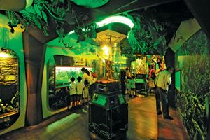 Actividad - Aquaria KLCC - Entrada