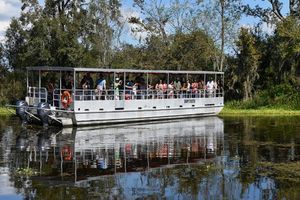 Actividad - Paseo en pontón