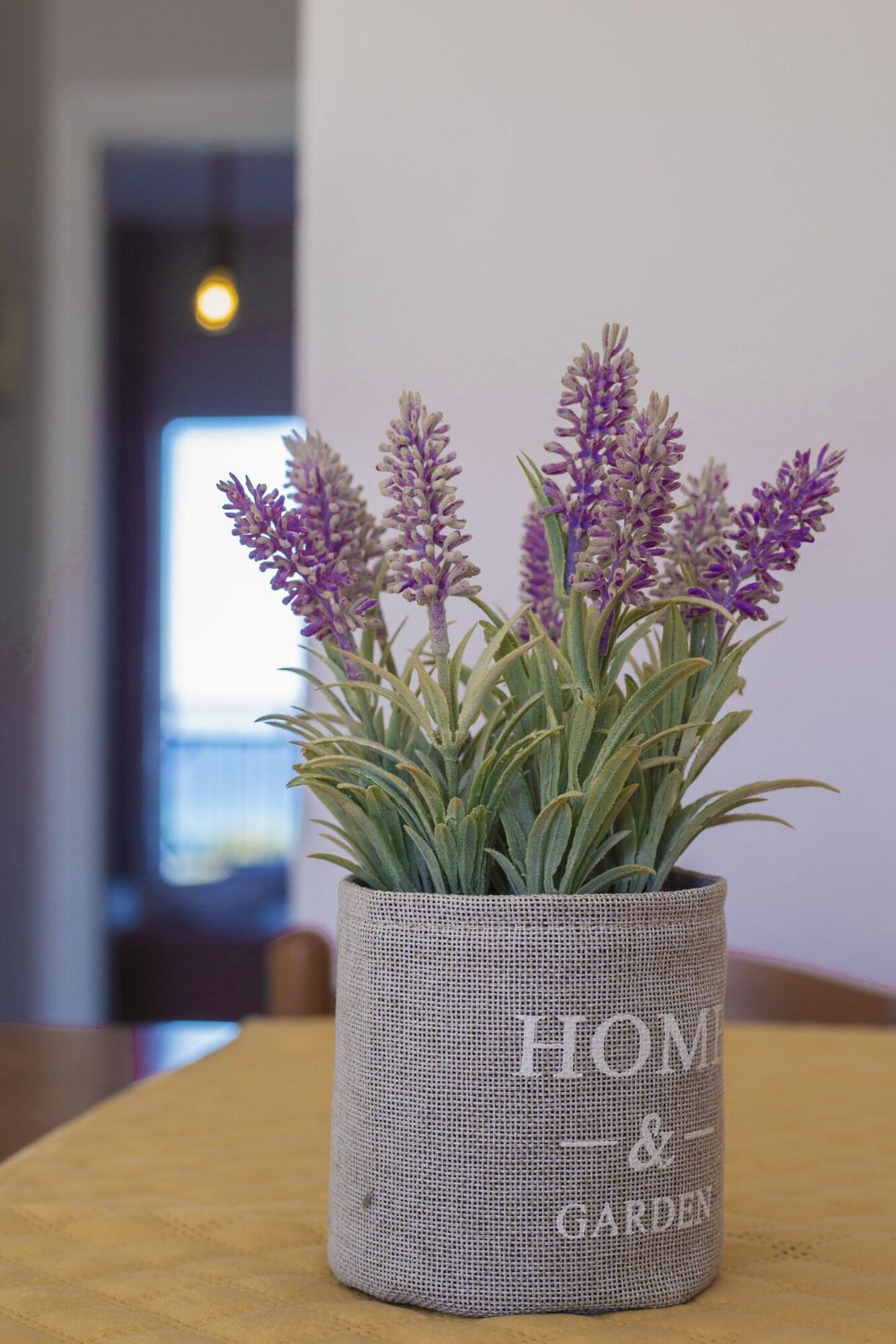 Habitación Sueno Beach Hotel