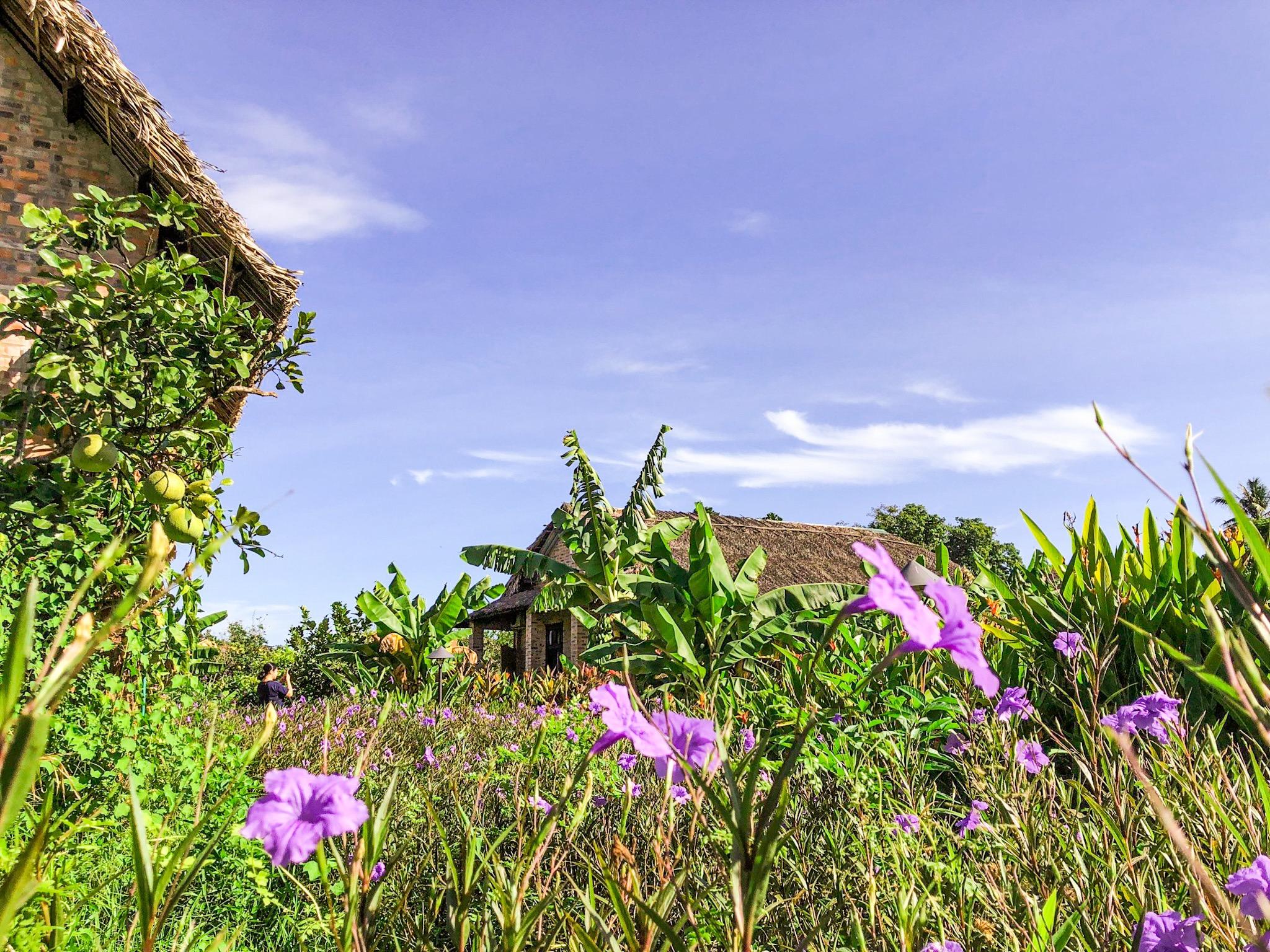 Vista Exterior Hue Ecolodge