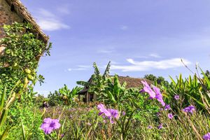 Alojamiento - Hue Ecolodge