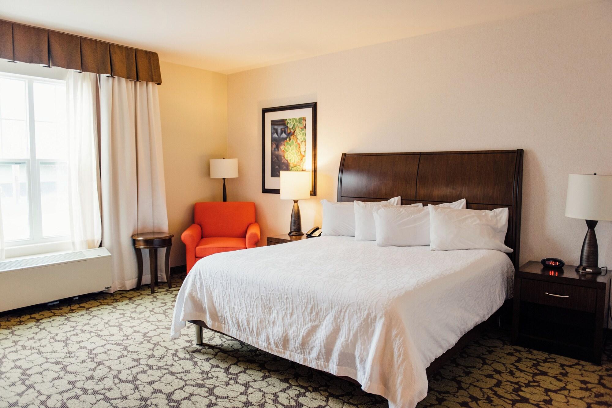 Habitación Hilton Garden Inn Auburn