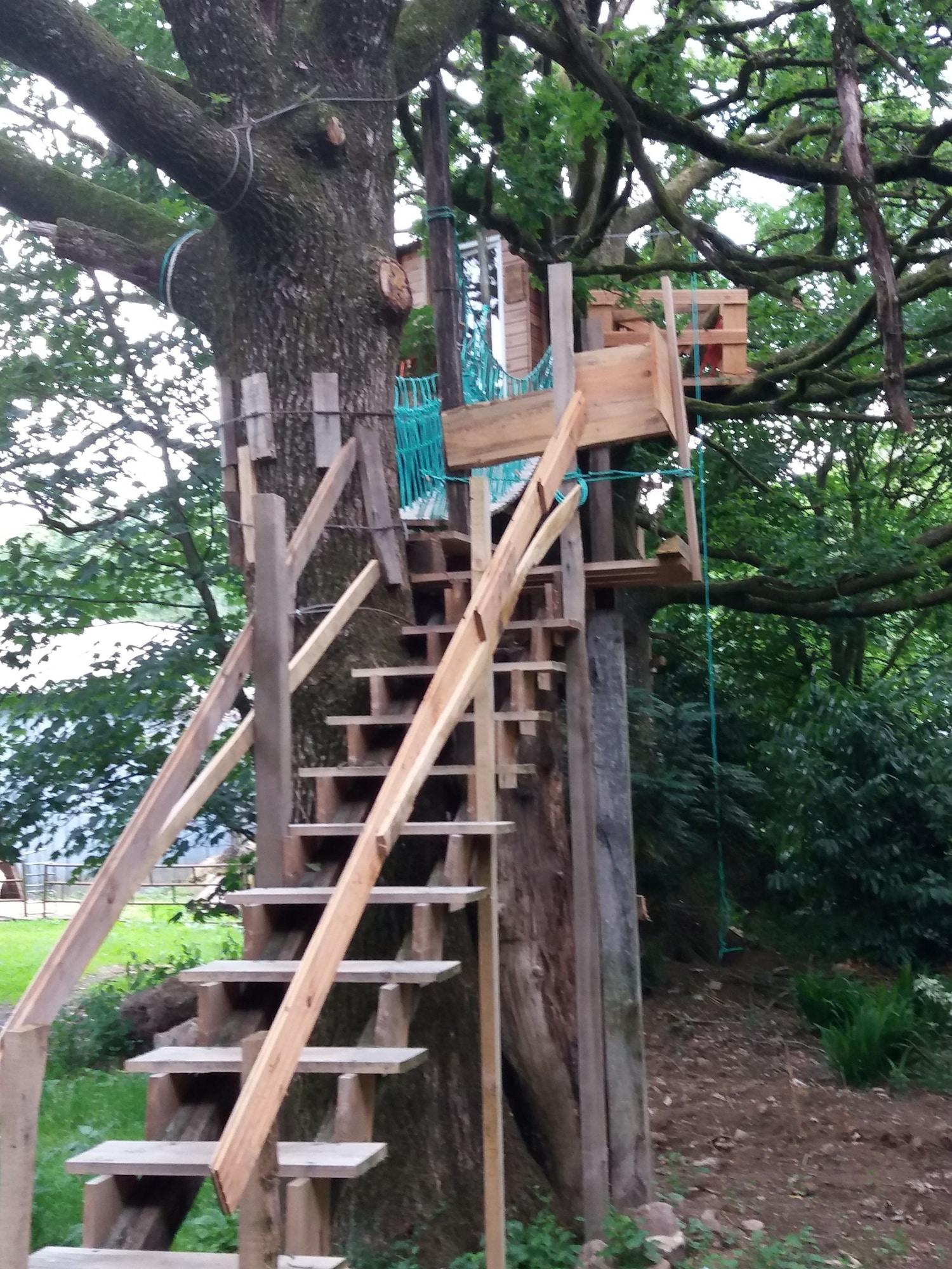 Varios Cabane Dans Les Arbres - Le Nid Dans Le Chêne
