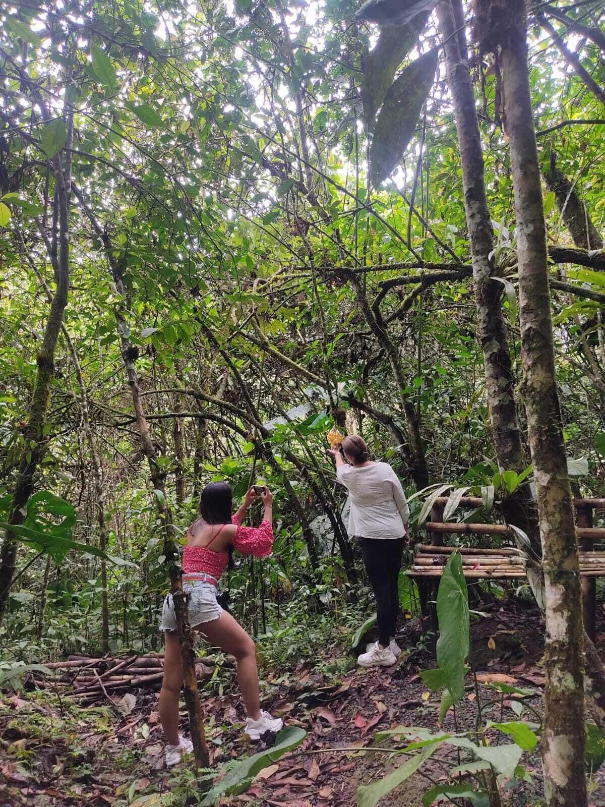 Instalaciones Recreativas Bosques de la pradera
