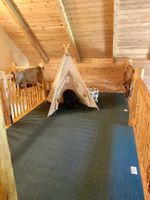 Alquiler Vacacional - Authentic Large Colorado Cabin close to the Roaring Fork River!! Very private<br>