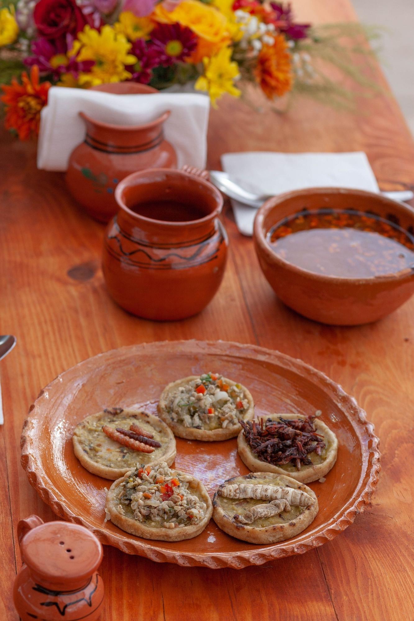 Restaurant Glamping Octli - Santuario de las Luciernagas X NANTLI LIVING