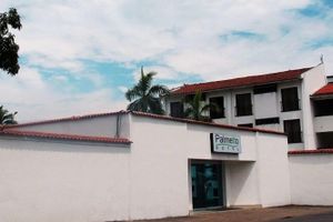 Alojamiento - Hotel Palmetto
