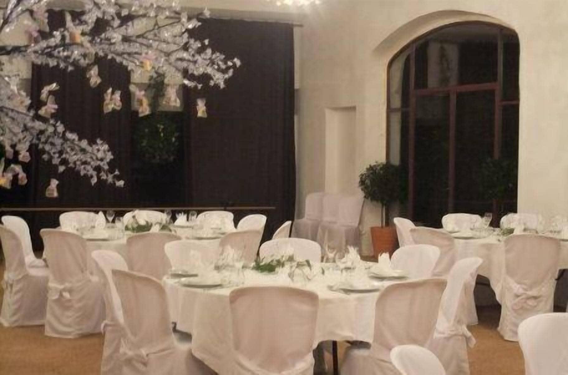 Salón de Baile Château du Besset