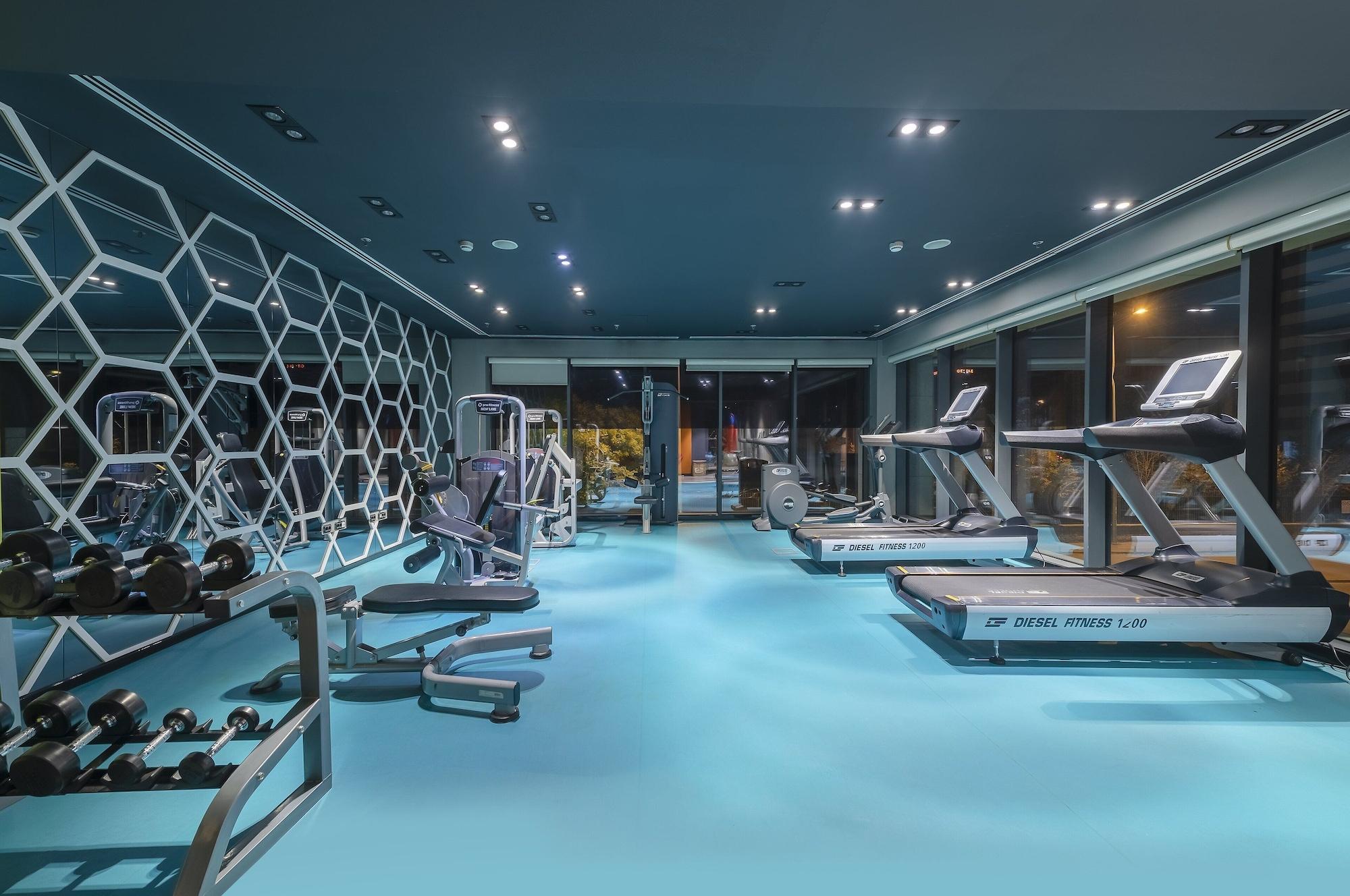 Gimnasio Holiday Inn Kayseri - Duvenonu by IHG