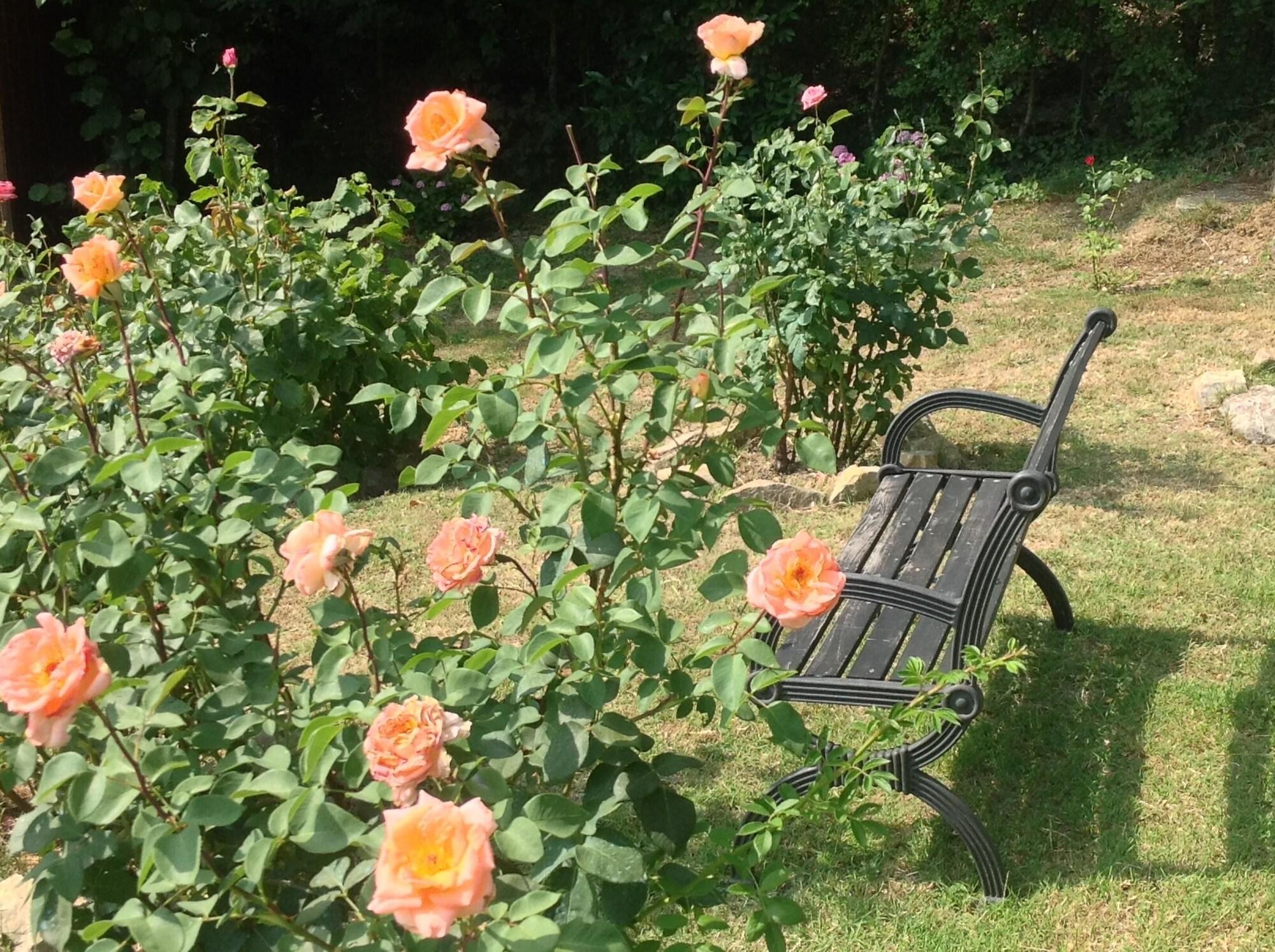 Comodidades del Alojamiento B&B Bosco dei Cervi