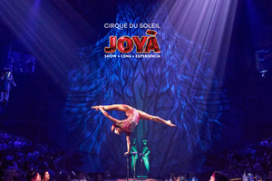 Actividad - Cirque du Soleil JOYÀ