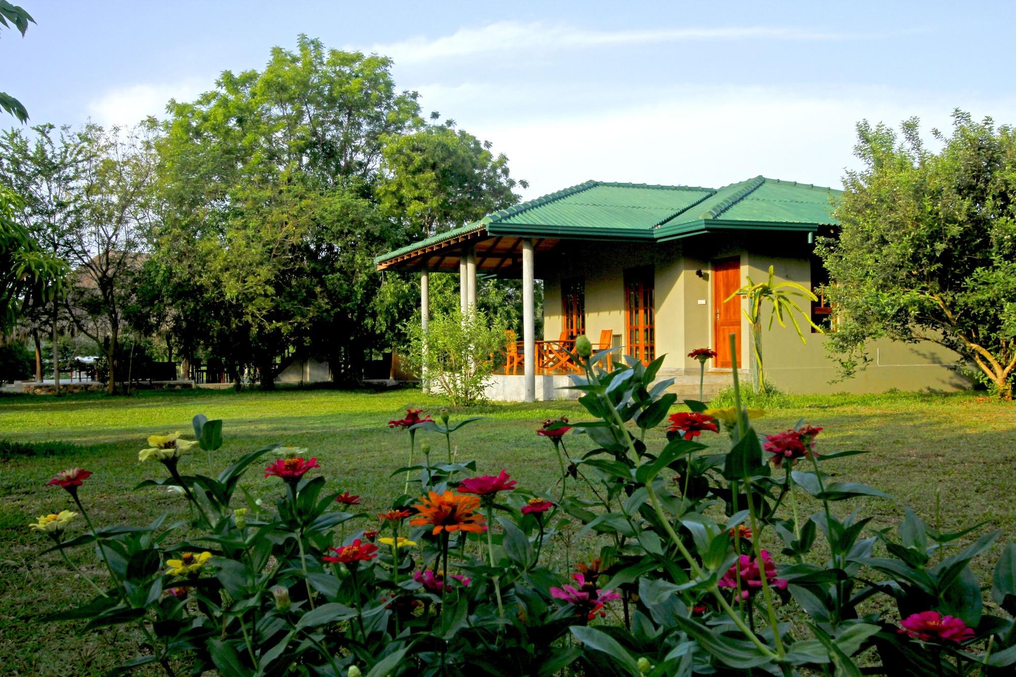 Habitación The Yala Adventure