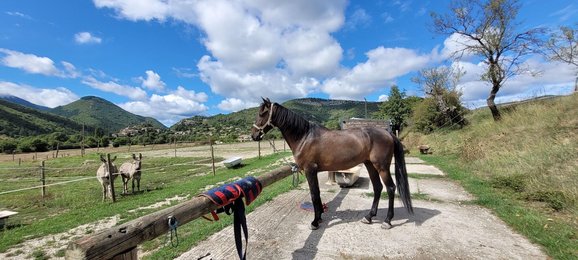 Instalaciones Recreativas MAS DE REILHANETTE