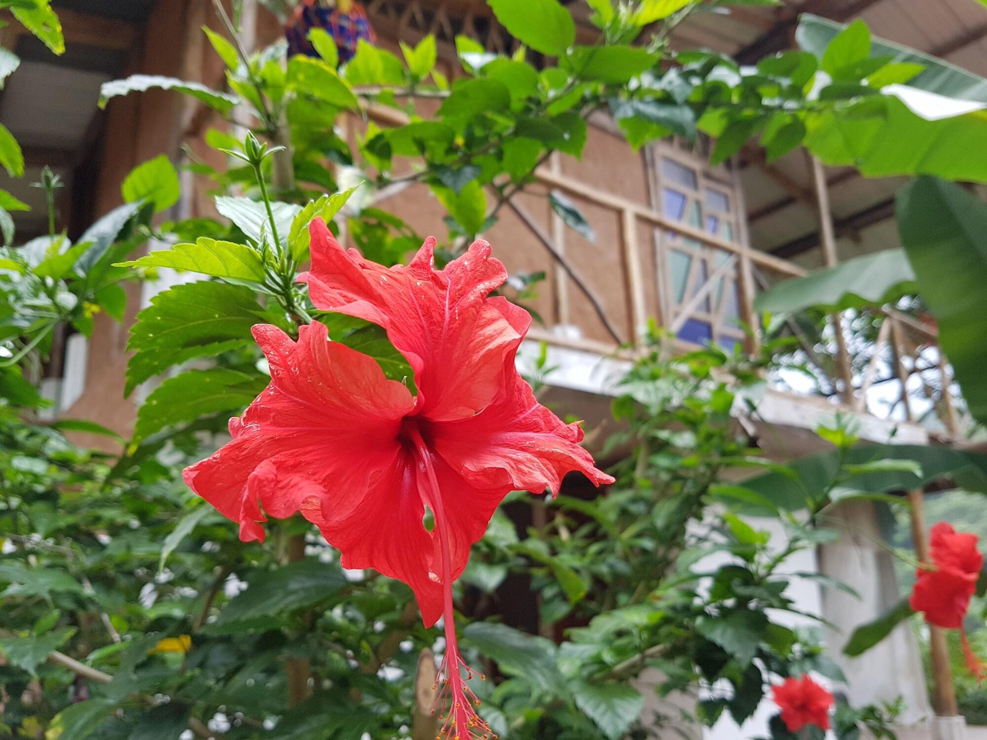 Comodidades del Alojamiento Posada Turistica Dantayaco