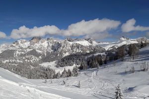 Alquiler Vacacional - Alice's House in the Venetian hills heritage of UNESCO