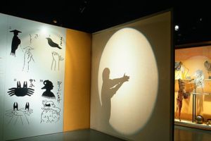 Actividad - Entrada al Museo del Cine de Girona