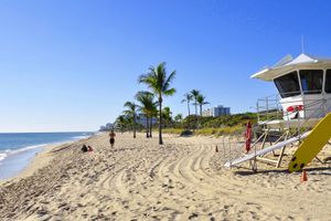 Pacote - avid hotel Ft Lauderdale Airport – Cruise by IHG
