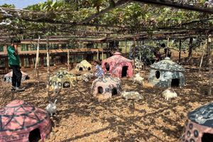 Alojamiento - Eagle View Farm & Lake Retreat