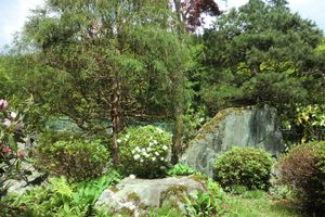 Alojamiento - Onsen Guesthouse Sakaeya