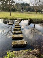 Alojamiento - Finca Galea