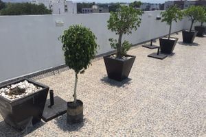 Alquiler Vacacional - Pleasant stay in Mexico City