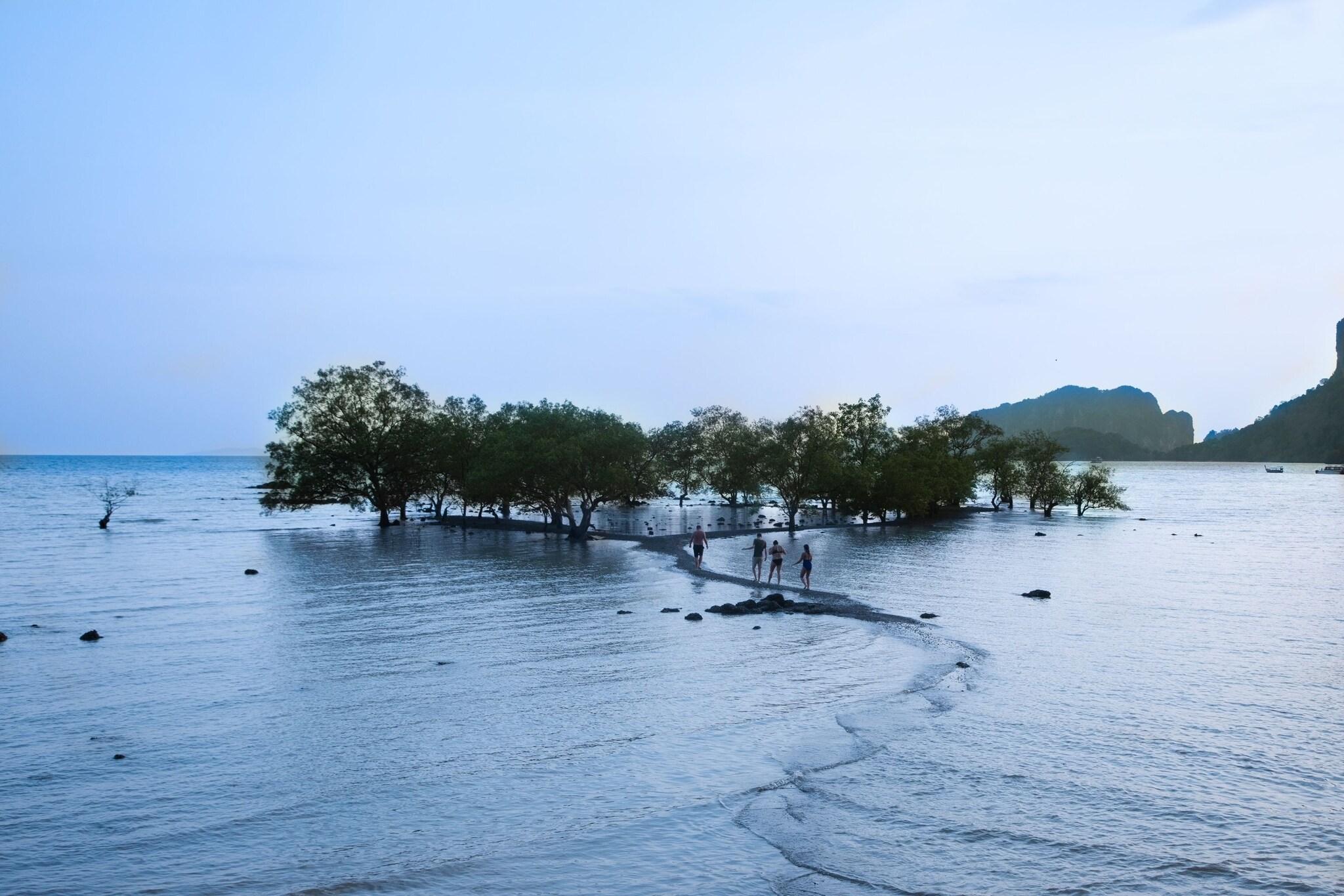 Playa Villa Cha-Cha Krabi Beachfront Resort