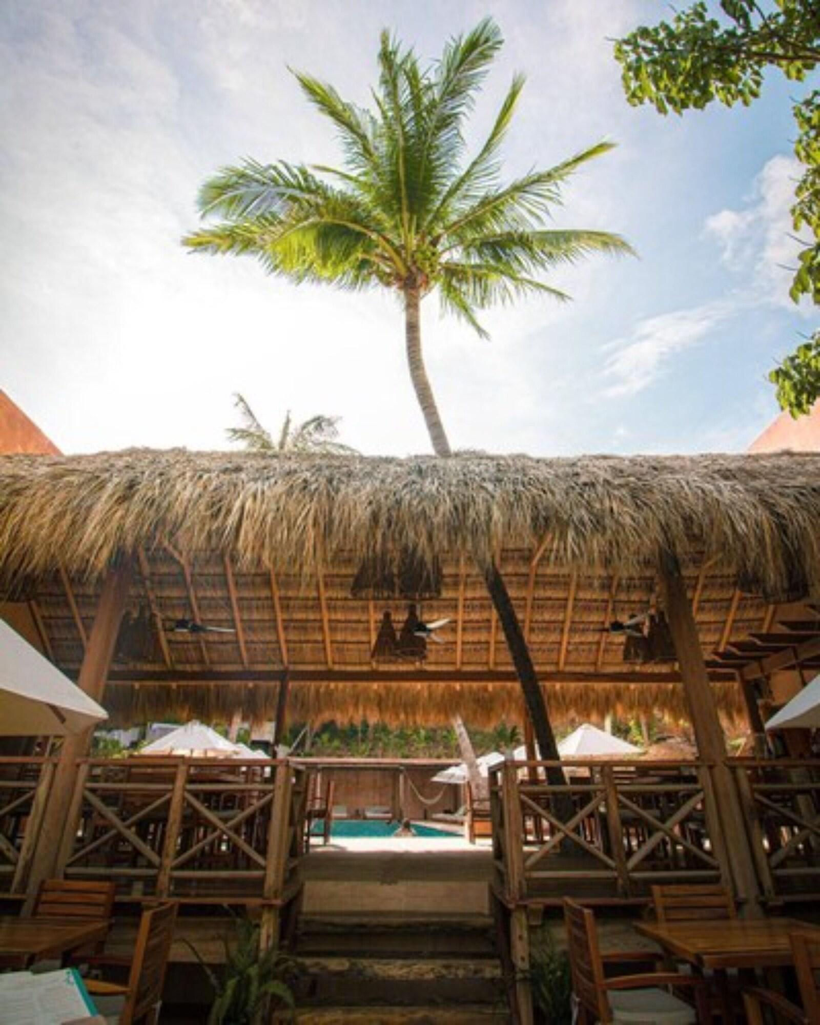 Vista Lobby Hotel Rinconcito de Mazunte