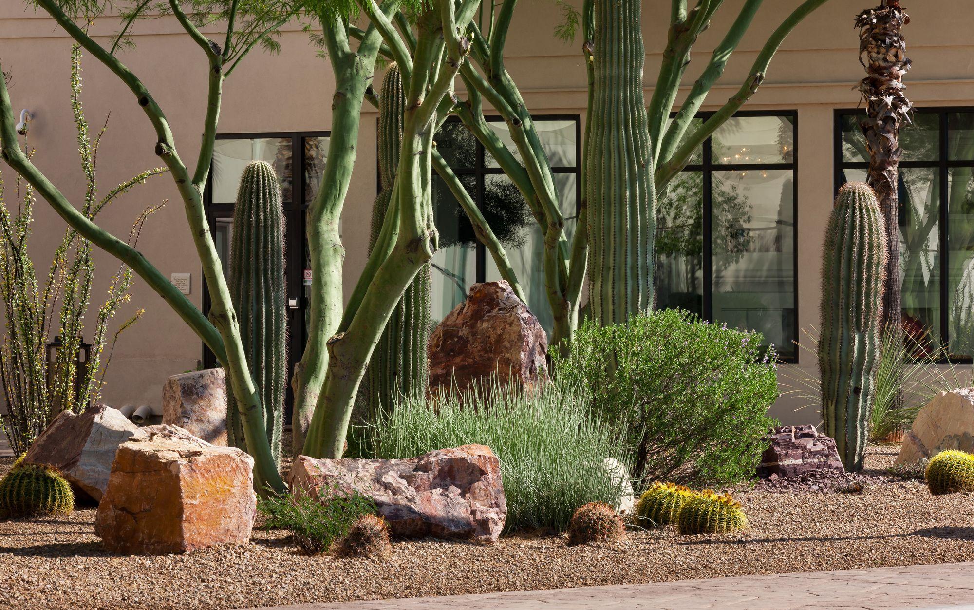 Comodidades del Alojamiento Hilton Garden Inn Tucson Airport