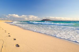 Actividad - Excursión a Isla de Lobos con recogida en Corralejo