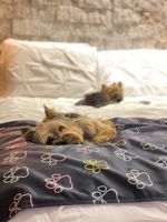 Hospedagens - Villa Ayê Pousada Petfriendly