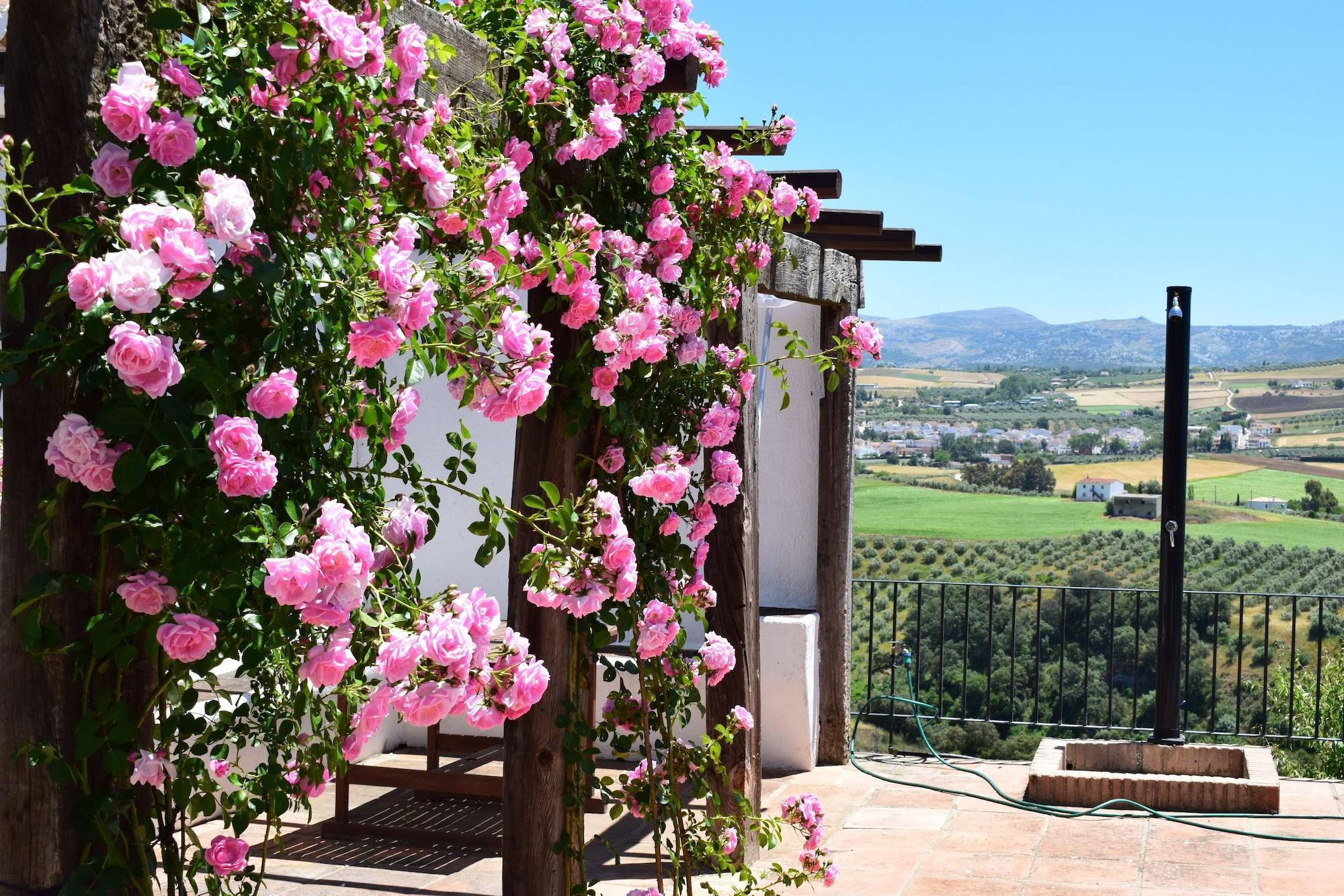 Vista Exterior Casa Alta