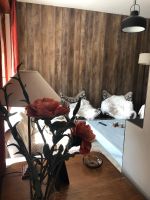 Alquiler Vacacional - Bonito Chalet Excelente Ubicación