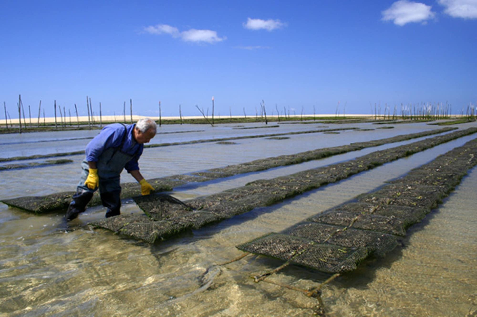 Vista Exterior Holiday Inn Bordeaux Sud - Pessac by IHG