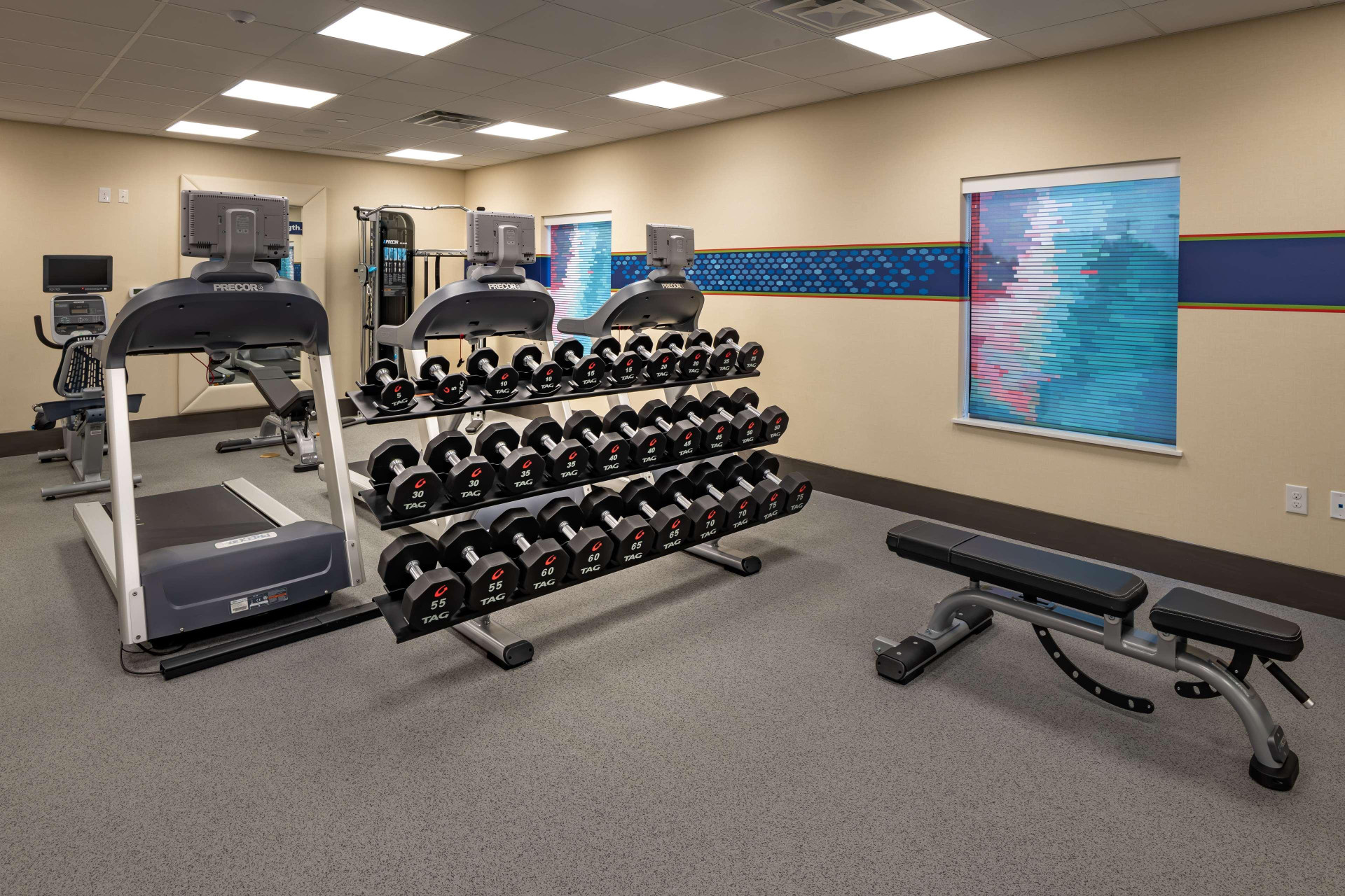 Instalaciones Recreativas Hampton Inn & Suites Dallas/Plano Central