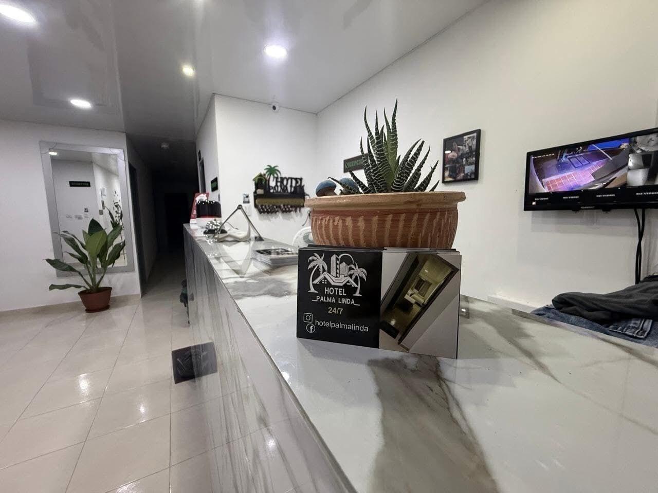 Vista Lobby Hotel palmalinda